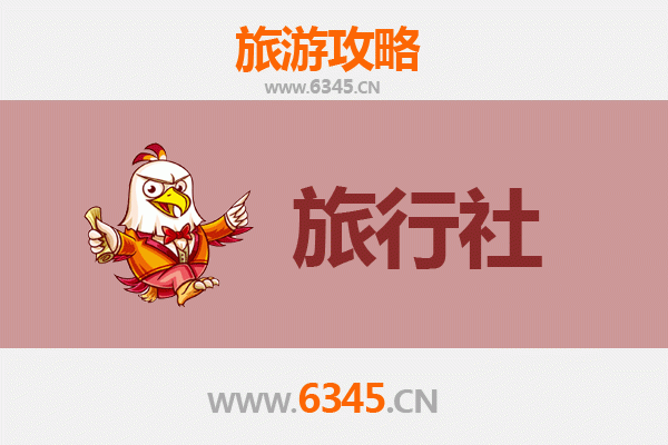 琼海国营东红农场本地旅行社推荐：探索热带农场的完美指南